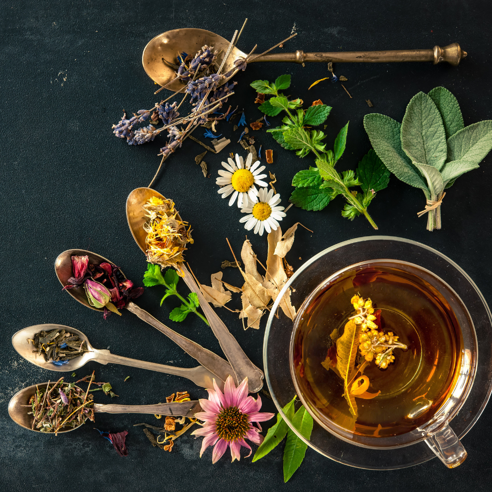 Herbal Tea Seed Collection