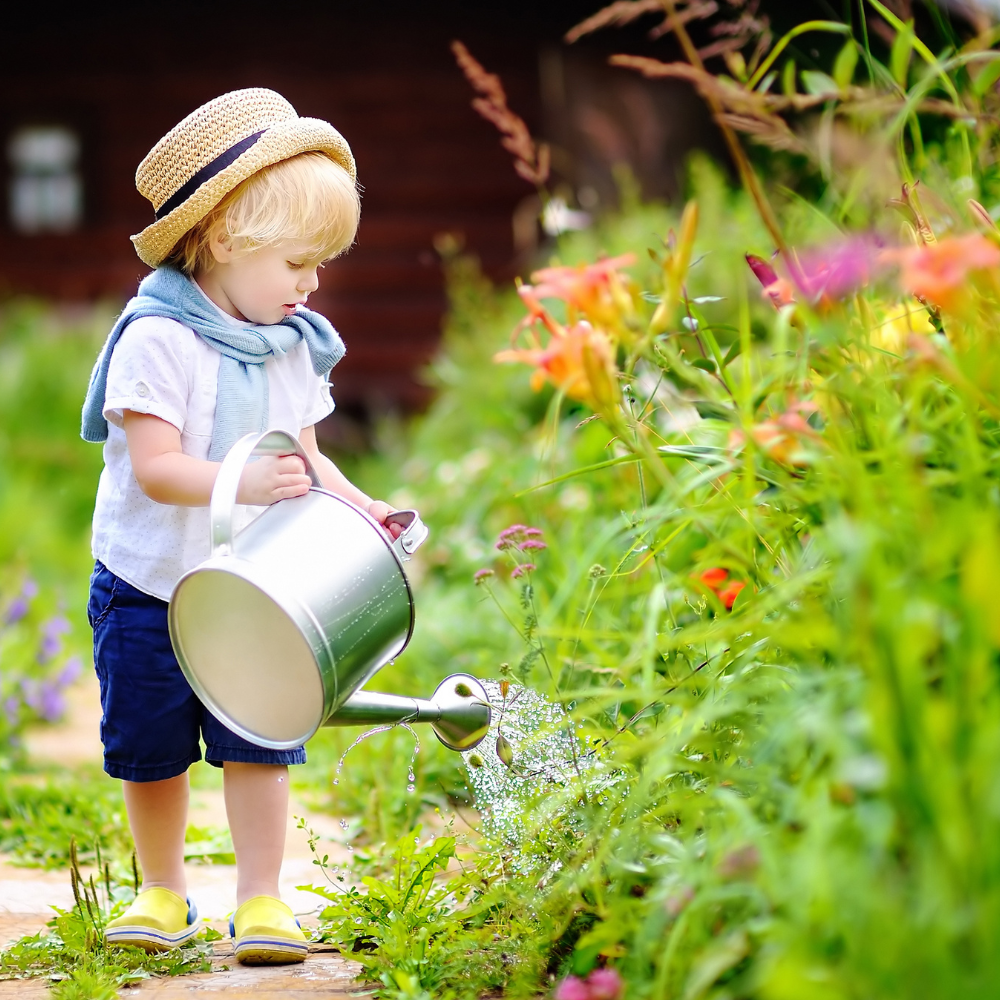 Kids Garden Seed Collection