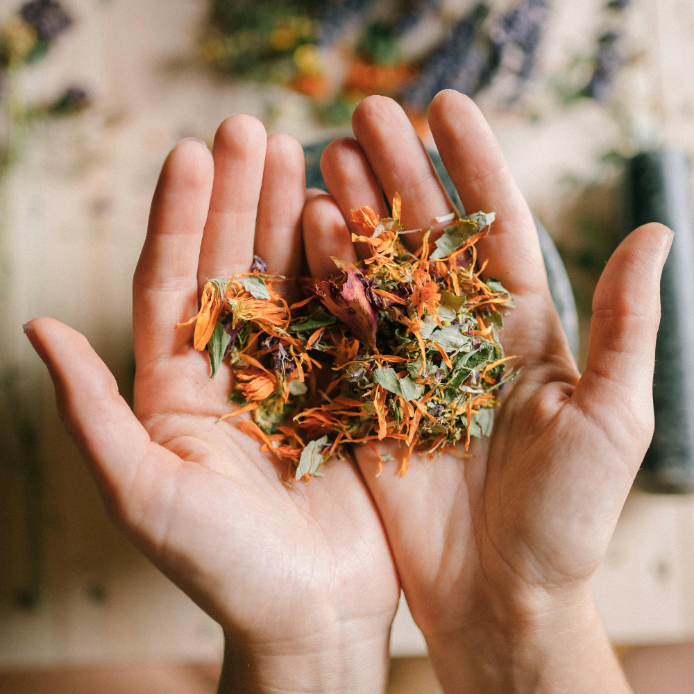 Medicinal Herbs