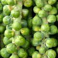 Brussels Sprouts- Long Island Improved