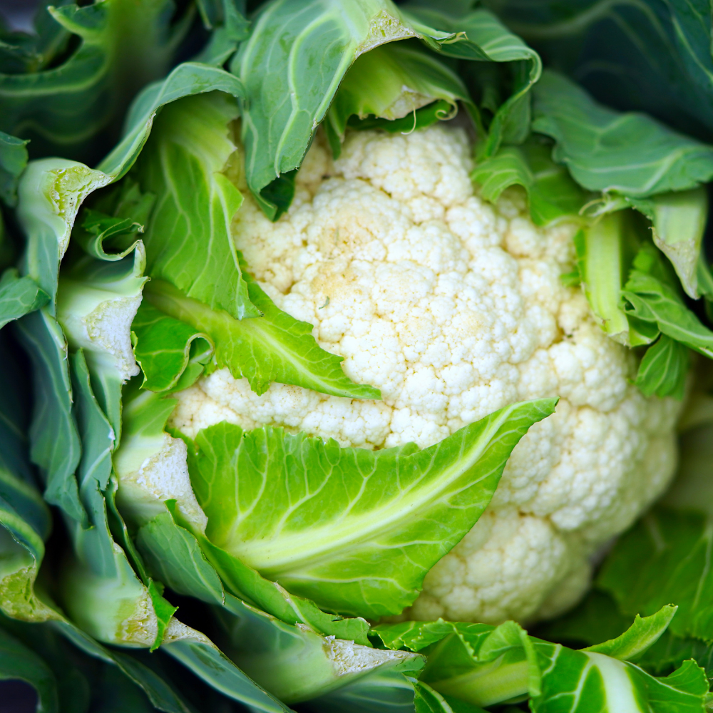 Cauliflower - All Year Round