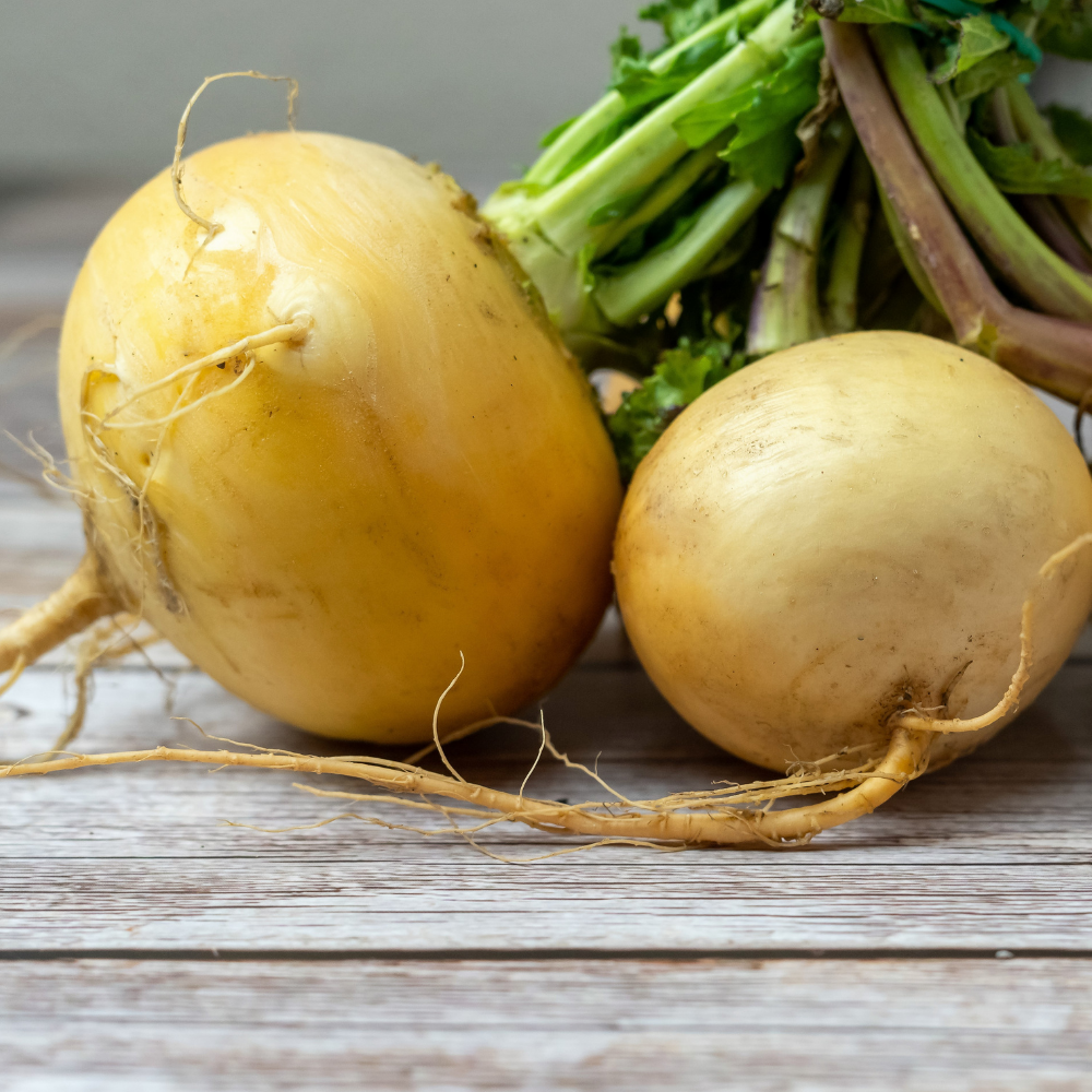 Turnip - Gold Ball